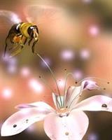 عکس کلاسیک زیبا